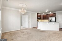 8911 Carls Ct in Ellicott City, MD - Building Photo - Building Photo