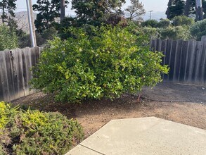 562 Kings Ave in Morro Bay, CA - Building Photo - Building Photo
