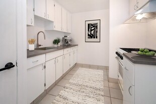 2036 Oak Grove Ln in Aubrey, TX - Building Photo