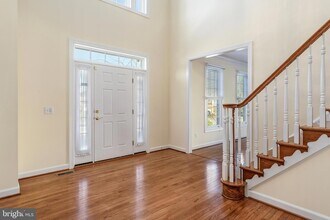 4481 Shady Point Pl in Chantilly, VA - Building Photo - Building Photo