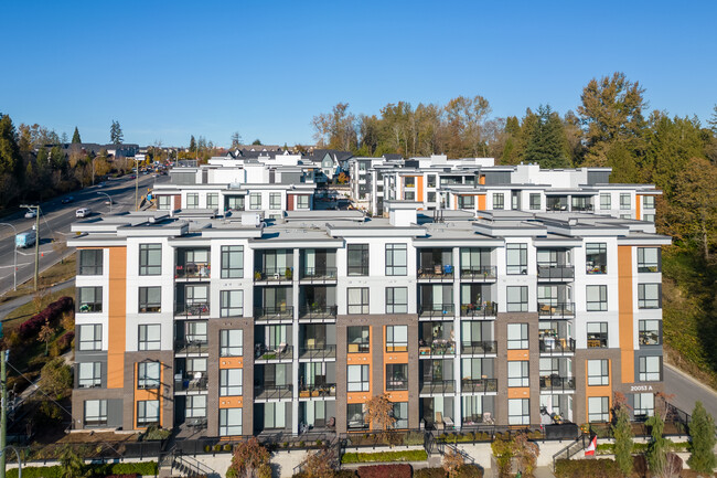 Park Hill (Phase I) in Langley, BC - Building Photo - Building Photo