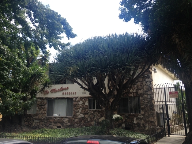 3844 Potomac Ave in Los Angeles, CA - Foto de edificio - Building Photo