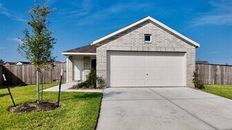 21307 Bianchi Ct in New Caney, TX - Building Photo