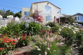 69 Point San Pedro Rd in San Rafael, CA - Building Photo - Building Photo