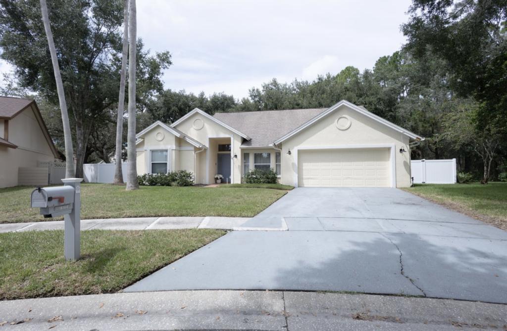 16104 Stowe Ct in Tampa, FL - Building Photo