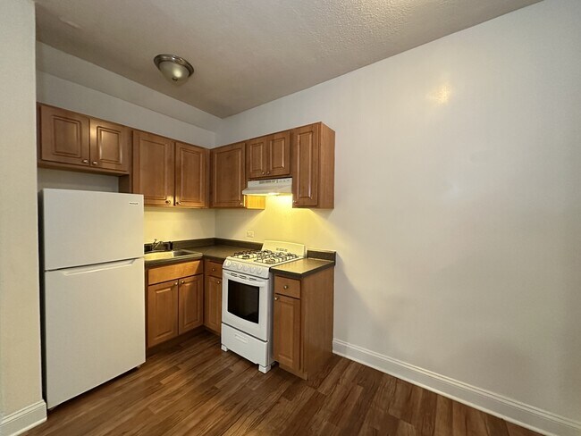 1742 N Humboldt Blvd in Chicago, IL - Building Photo - Building Photo