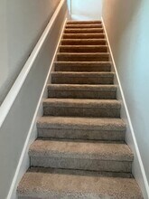 2768 Scarlet Bay Pl in Brandon, FL - Building Photo - Building Photo