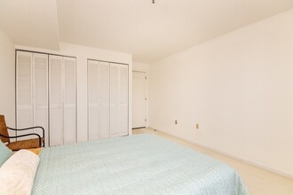 20 Webster St, Unit 304 in Brookline, MA - Building Photo - Building Photo