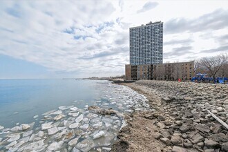 7337 S South Shore Dr in Chicago, IL - Building Photo - Building Photo