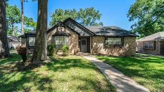 1003 Pear Tree Ln in Houston, TX - Building Photo