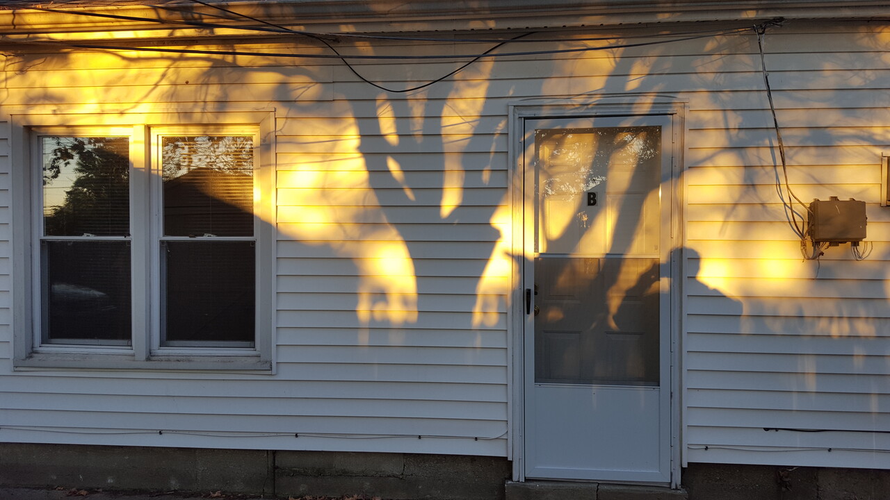 208 Herbert Ave in Carmi, IL - Building Photo