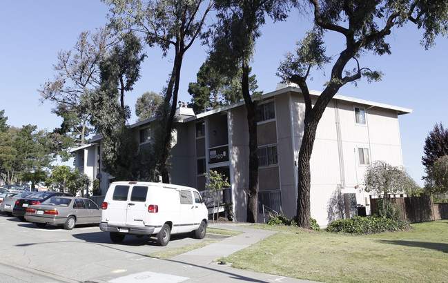 Ridgeview Terrace Apartments in San Francisco, CA - Building Photo - Building Photo