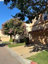 5107 Bianco Ct in Pleasanton, CA - Building Photo