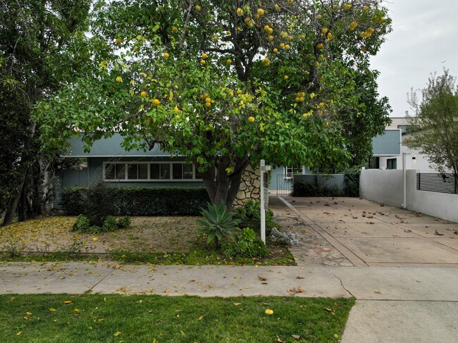 5516 Ethel Ave in Van Nuys, CA - Foto de edificio - Building Photo