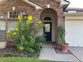 19934 Upland Creek Dr in Katy, TX - Building Photo - Building Photo