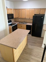 29 E Chestnut St in Chicago, IL - Building Photo - Building Photo