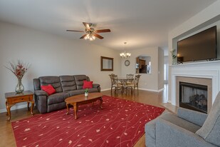 217 Spring Gardens Drive in Belmont, NC - Building Photo