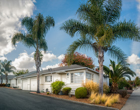 Webster Street Courtyard in Petaluma, CA - Building Photo - Other