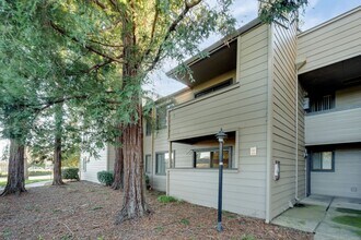 3715 Tallyho Dr in Sacramento, CA - Building Photo - Building Photo