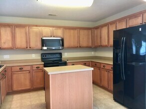 153 Pennsylvania Ct in Chapin, SC - Building Photo - Building Photo