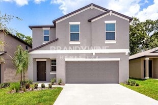 10617 Sweet Sapling St in Riverview, FL - Building Photo