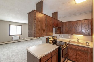 417 Kansas St NW in Preston, MN - Building Photo - Interior Photo