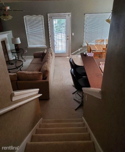 13 Orchid Ln in Savannah, GA - Foto de edificio - Building Photo