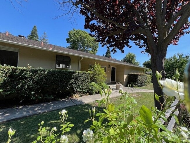 260 Santa Monica Ave in Menlo Park, CA - Building Photo - Building Photo
