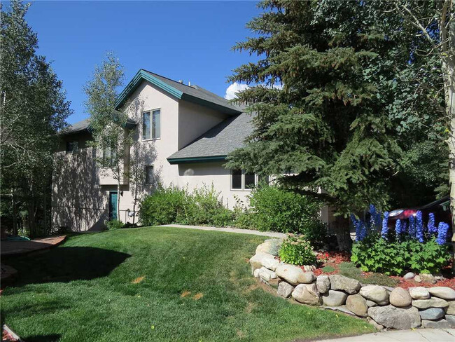 54 Ensign Dr in Dillon, CO - Foto de edificio - Building Photo