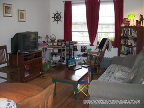 169 Kent St in Brookline, MA - Building Photo - Building Photo