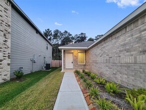 31367 Black Cherry St in Magnolia, TX - Building Photo - Building Photo