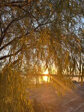 734 Benchmark Trail in Belton, TX - Building Photo - Building Photo