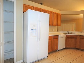 29812 Morning Mist Drive in Wesley Chapel, FL - Building Photo - Building Photo