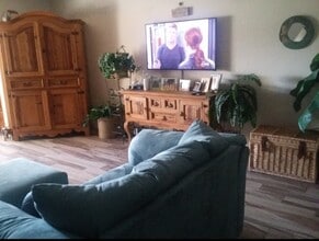 8 Glencoe Pl in Dunedin, FL - Building Photo - Building Photo