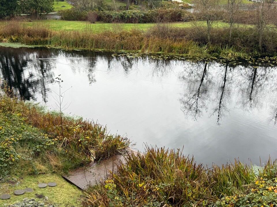 1793 Lake Dr in Camano Island, WA - Building Photo