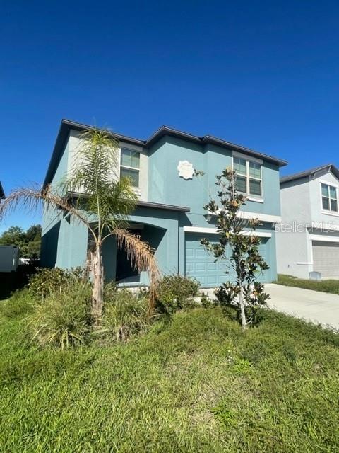 3707 Globe Thistle Dr in Tampa, FL - Building Photo