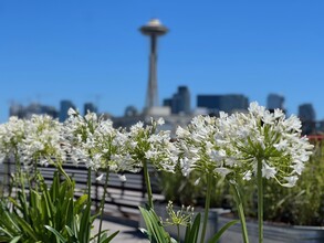 Queen Anne Flats in Seattle, WA - Building Photo - Building Photo