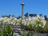 Queen Anne Flats in Seattle, WA - Foto de edificio - Building Photo