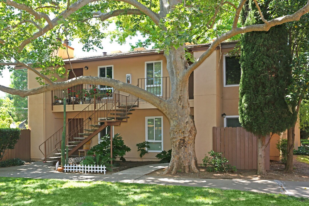 Walnut Wood Apartments in Carmichael, CA - Foto de edificio