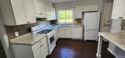 1145 Mackinac Dr in St. Louis, MO - Building Photo - Building Photo