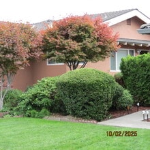 2132 Town and Country Ln in Santa Clara, CA - Building Photo - Building Photo