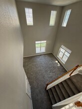 4233 Florentine Dr in Longmont, CO - Building Photo - Building Photo