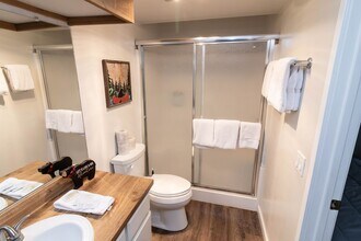 737 Cienega Rd in Big Bear Lake, CA - Building Photo - Building Photo