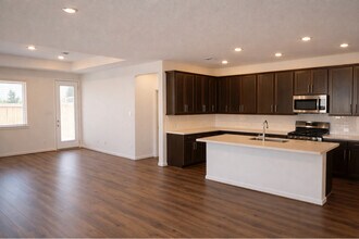 9730 Ivy Manor Ct in Cypress, TX - Foto de edificio - Building Photo