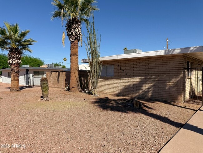 3125 N 66th St in Scottsdale, AZ - Building Photo - Building Photo