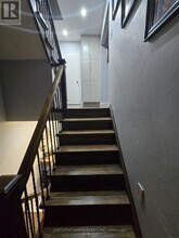 61 Collins Crescent in Brampton, ON - Building Photo - Building Photo