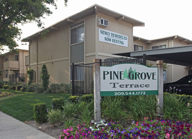 Pine Grove Apartments in Modesto, CA - Foto de edificio - Building Photo