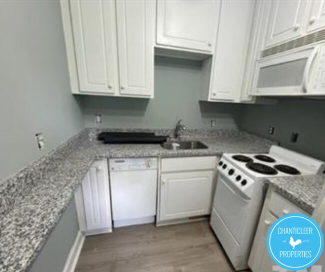 7 Shepherd Ln in Chapel Hill, NC - Building Photo - Building Photo