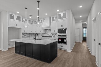 119 Amaranth Wy in Richmond, TX - Building Photo - Building Photo