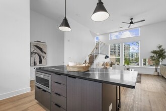 The Collection at Charles in Charlotte, NC - Foto de edificio - Building Photo